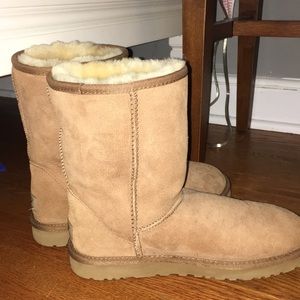NWOT classic ugg boots